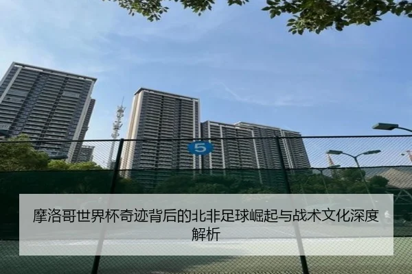 摩洛哥世界杯奇迹背后的北非足球崛起与战术文化深度解析