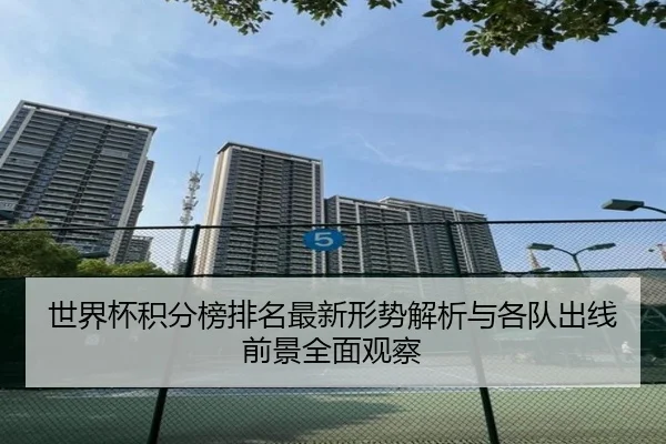 世界杯积分榜排名最新形势解析与各队出线前景全面观察
