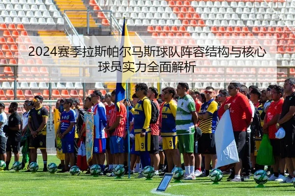 2024赛季拉斯帕尔马斯球队阵容结构与核心球员实力全面解析