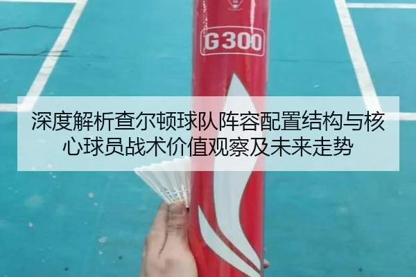 深度解析查尔顿球队阵容配置结构与核心球员战术价值观察及未来走势